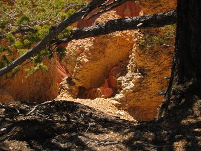 Looking down into some of the rock formations